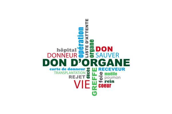 Don d&rsquo;organes et moelle